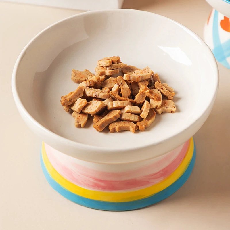Cat Elevated Ceramic Bowl Pet  - Food Snacks Drinks 评论和价格
